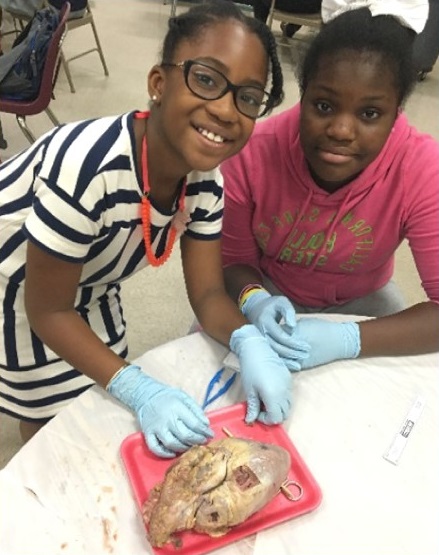 a young girl dissecting a speciman