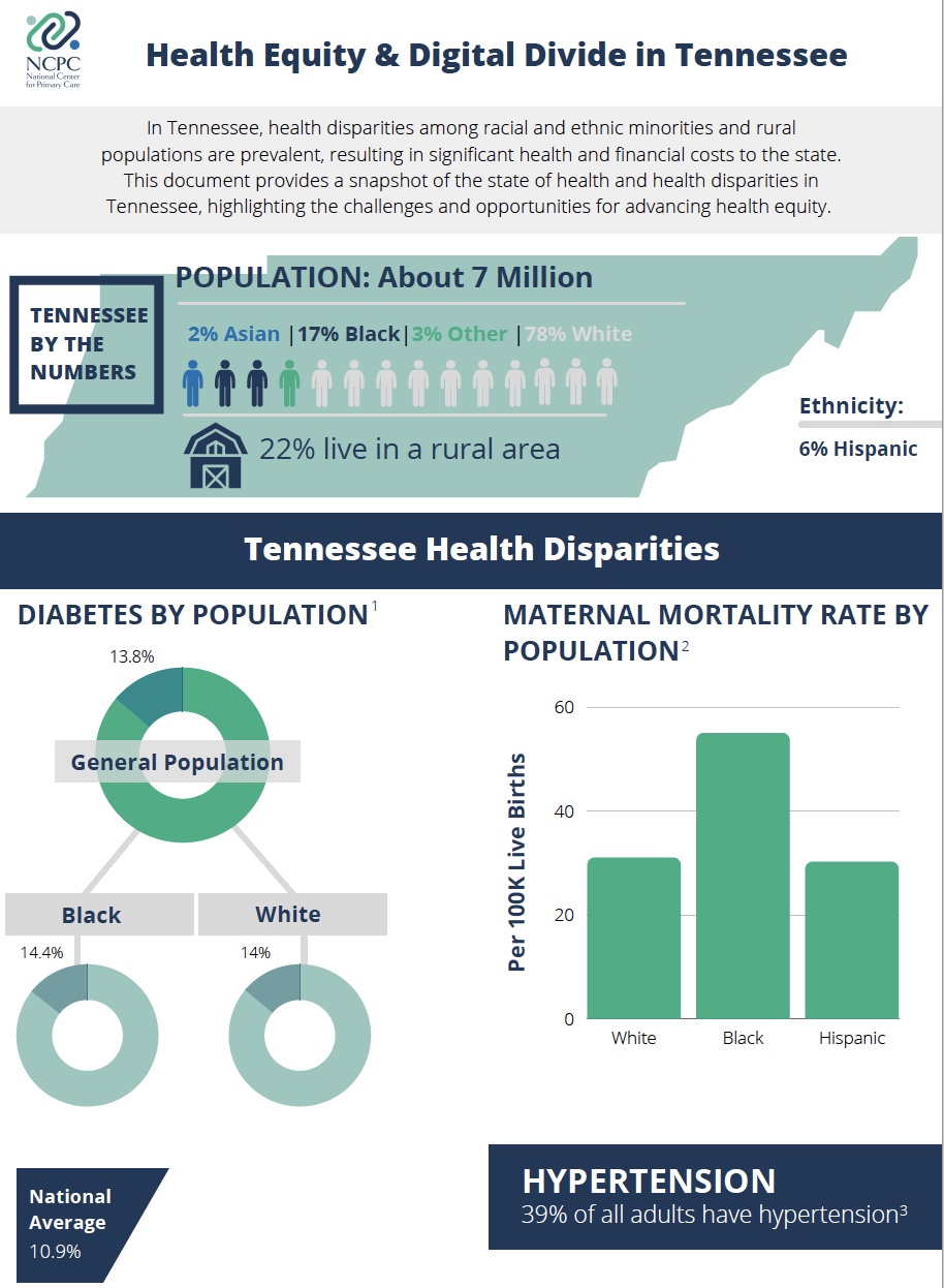 State Health Equity TN